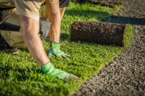 a landscape architect from Caloundra Landscaping working on a garden